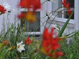 Knott Cottage self catering, Isle of Skye, garden