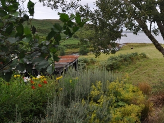 Knott Cottage self catering, Isle of Skye, trees, view